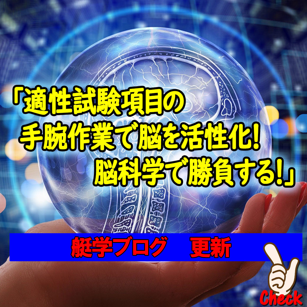 適性試験の手腕作業で脳を活性化！適性は脳科学で勝負する！ | 艇学